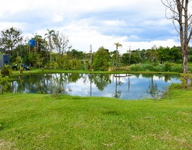 Galeria 1